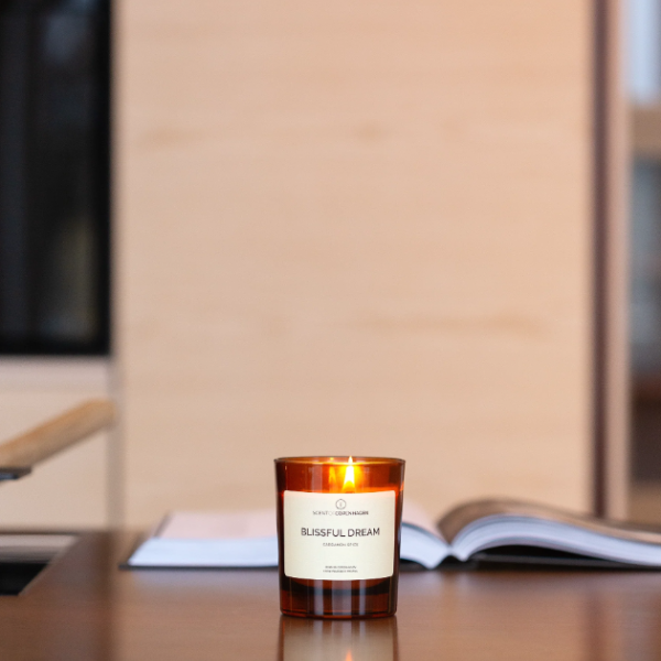 ディフューザー・キャンドル SCENT OF COPENHAGEN ART OF TIME CANDLE BLISSFUL DREAM 10258